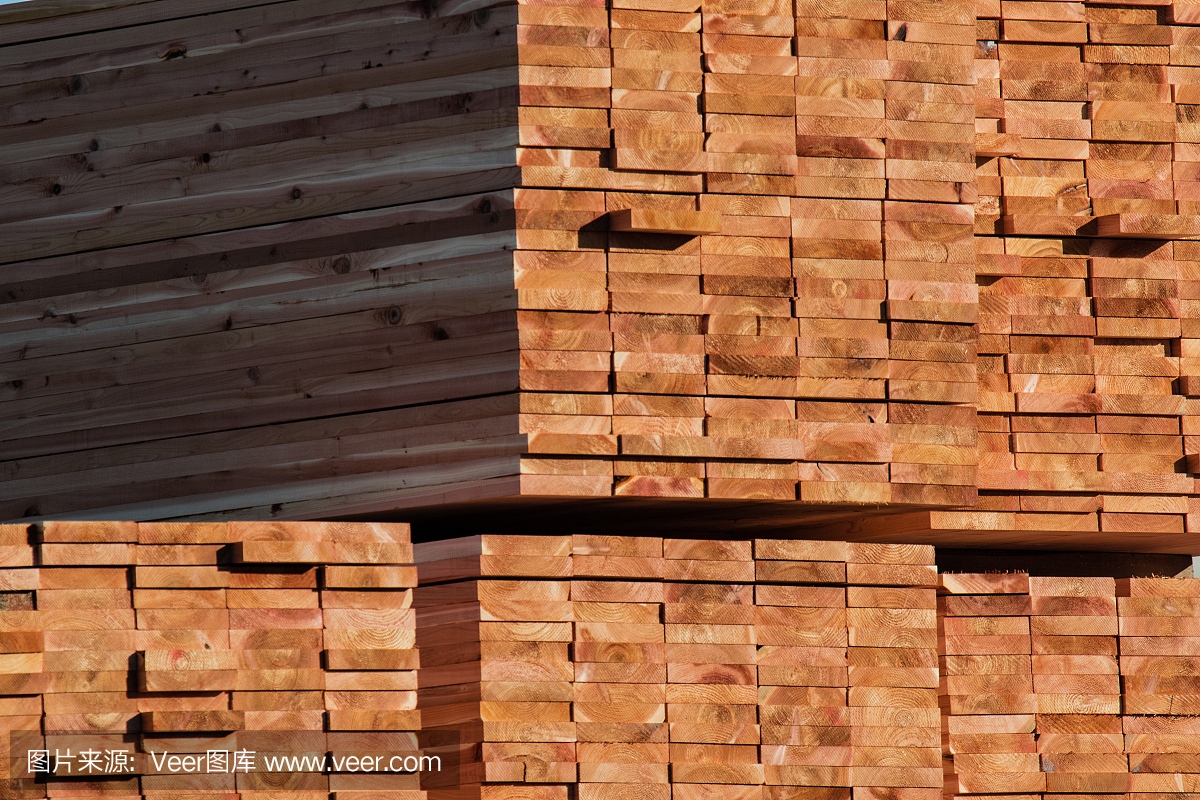 建筑材料gogo体育木材项目资金申请报告