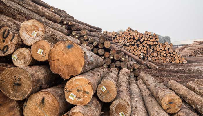 木材防腐剂有哪些 木材防gogo体育腐剂有哪些种类(图2)