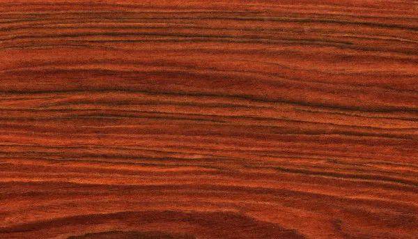 实木家具中：不可不知的gogo体育14种木头材质(图12)