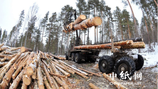 gogo体育俄罗斯将严格控制木材流通 最高50万罚金！(图2)