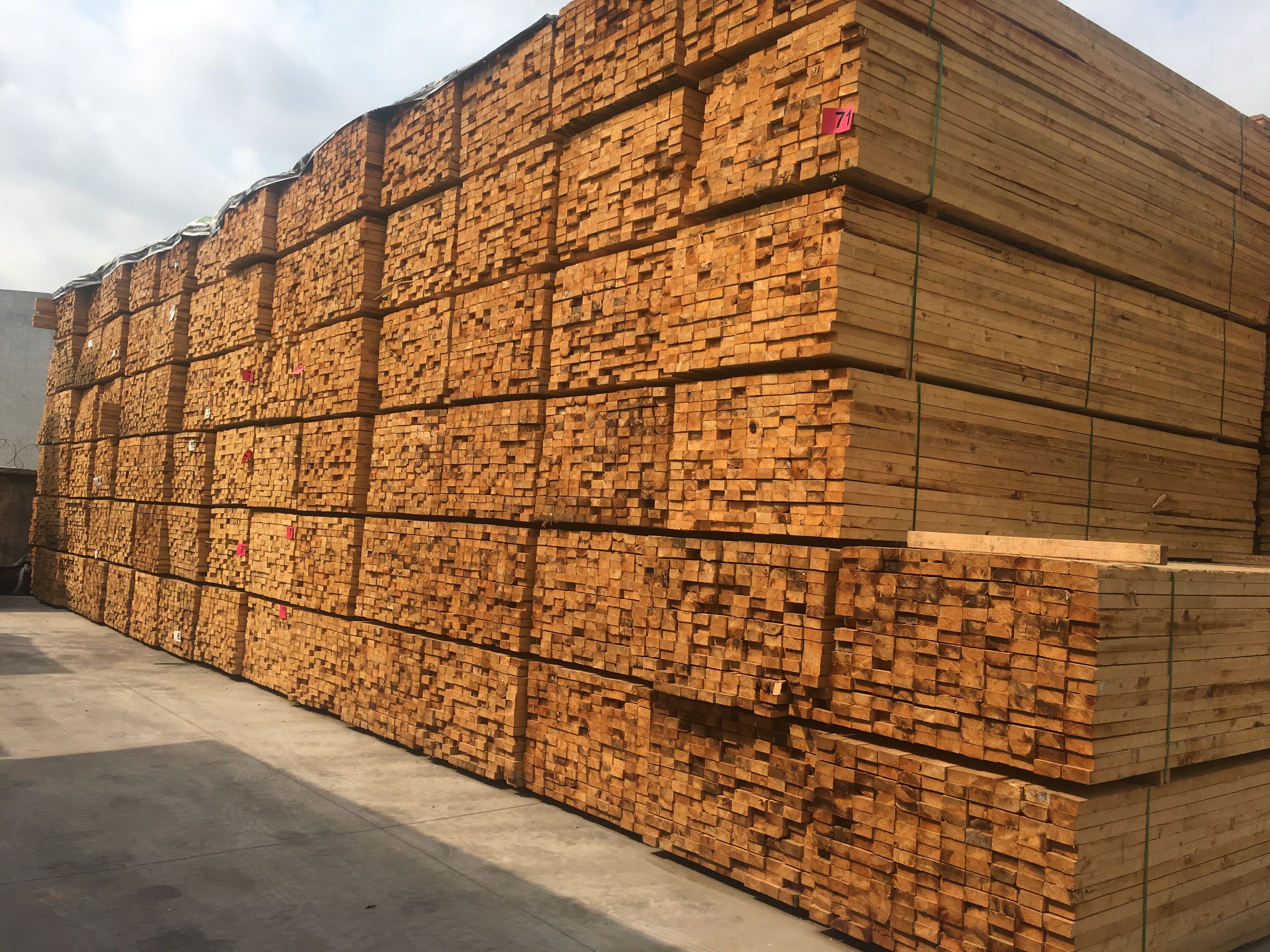 gogo体育广西木材加工业产值超3200亿元！2023年广西林业和高端绿色家居产业发展对接会举行