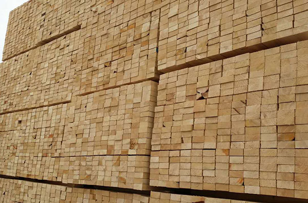 gogo体育《防腐木材生产规范》国家标准专家座谈会在鹰潭召开
