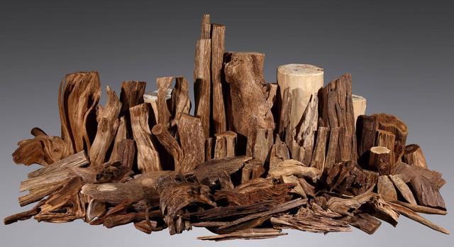 gogo体育世界上最贵最稀有的木材生在哪里？(图2)