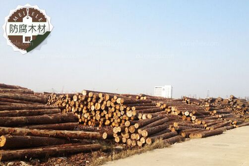 防腐木材有哪些防腐木材批发价格gogo体育(图1)