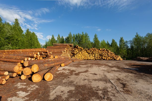 gogo体育木业、木材行业热点_企业新闻-木业网