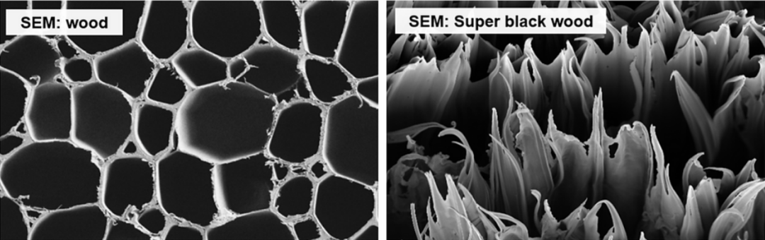 gogo体育科学家造出超级黑木材将木材细胞壁尺寸从微米级变为纳米级(图2)