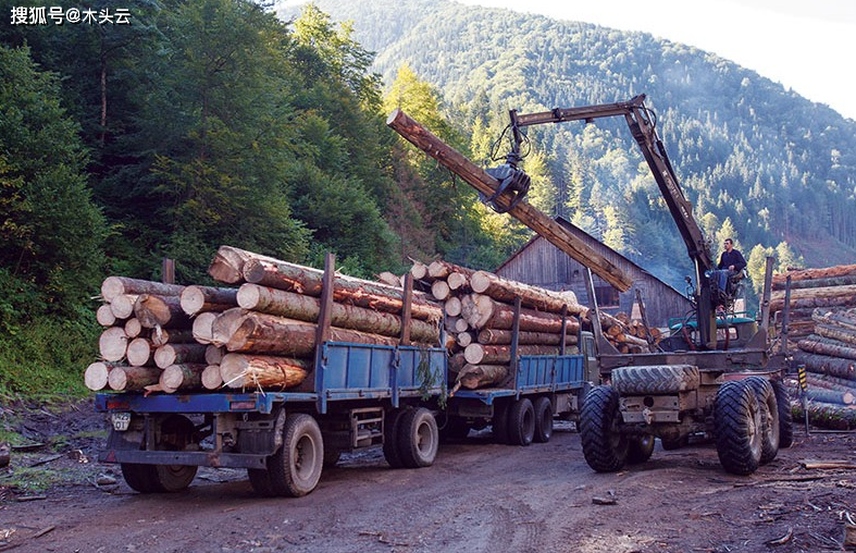 乌克兰木材出口大受打击泽连斯基下令增加采gogo体育伐刺激木材加工业(图3)