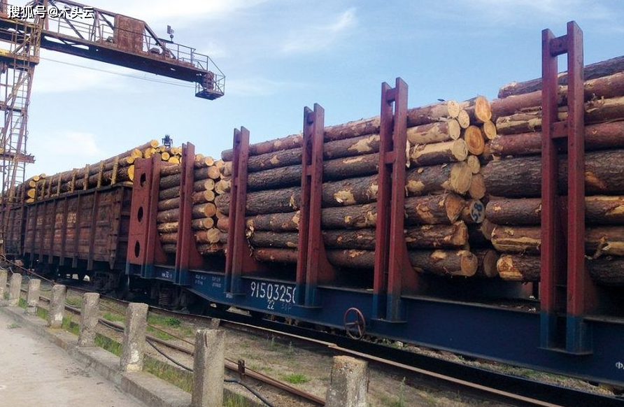 乌克兰木材出口大受打击泽连斯基下令增加采gogo体育伐刺激木材加工业(图4)