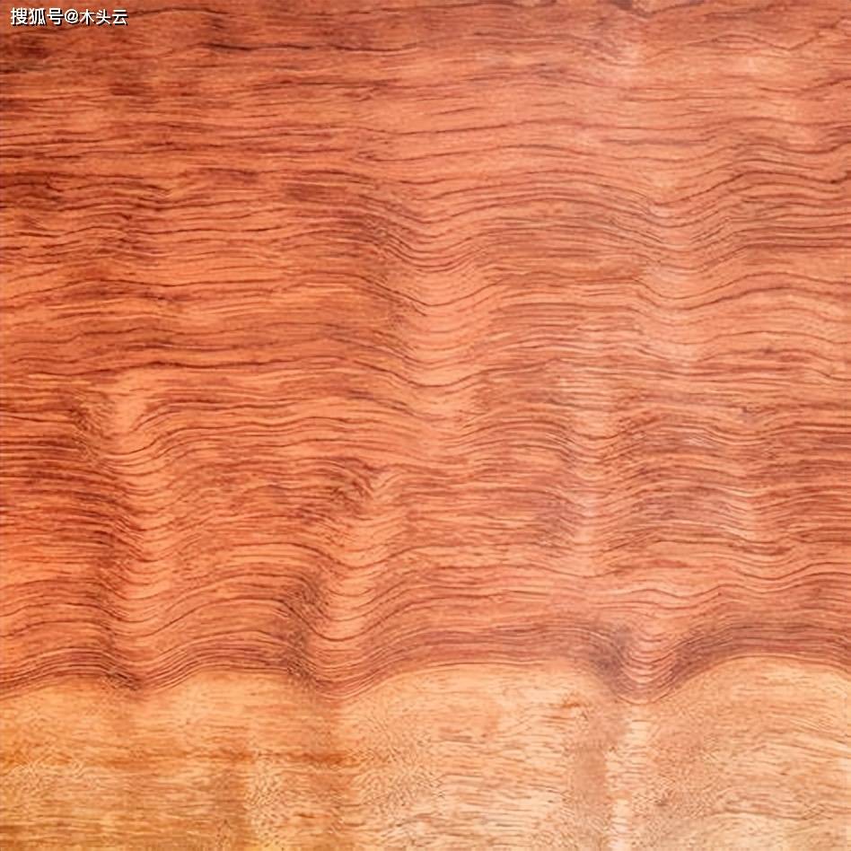 gogo体育世界上六种“价格不菲”的木材你见过几个？(图4)