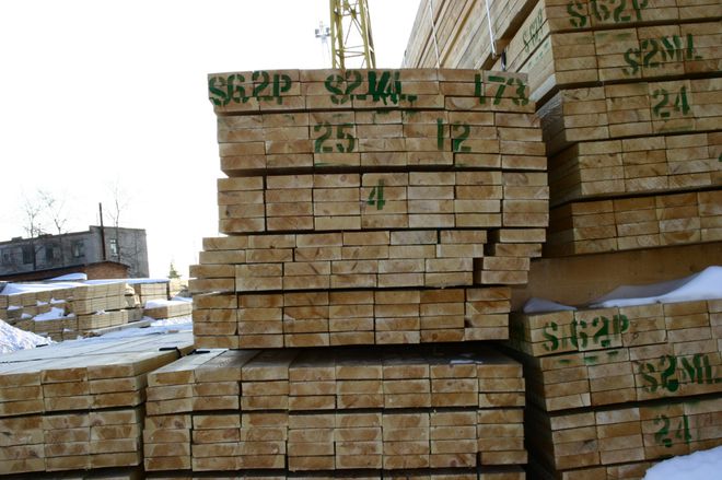 gogo体育中国木材进口商注意！俄罗斯对木材这些违规行为实行重罚！(图2)