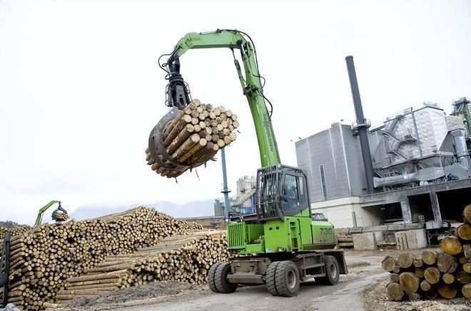 gogo体育中国木材进口商注意！俄罗斯对木材这些违规行为实行重罚！(图4)