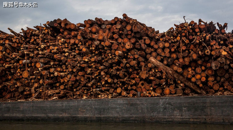 gogo体育中巴木材贸易几近“腰斩”中国木材商对巴西材不再感兴趣？(图5)