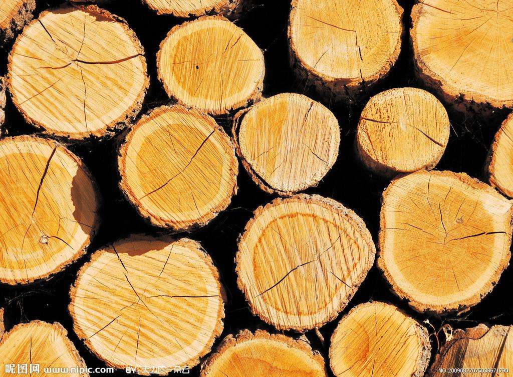 gogo体育木材的种类有那些？特征是什么？