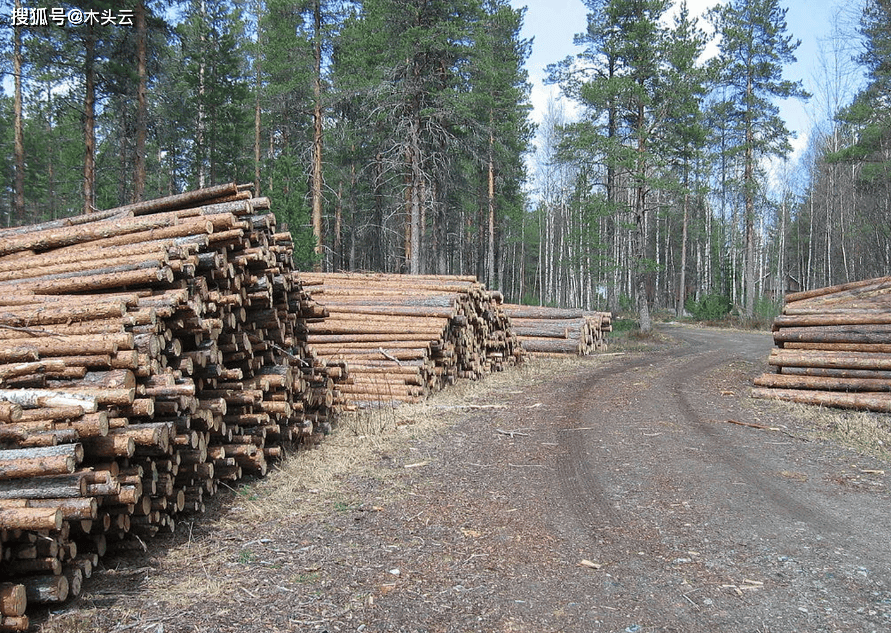 与中国木材贸易连续下滑芬兰锯材出口重心要开始转移gogo体育？(图1)