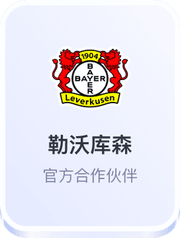 开云体育-勒沃库森